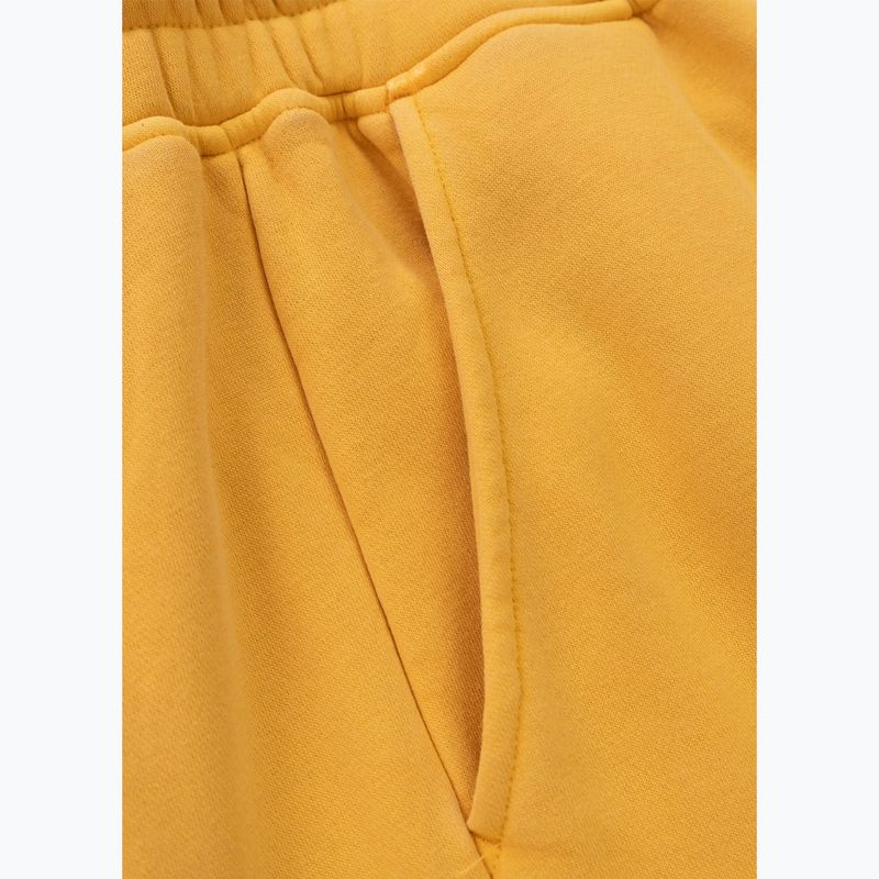 Pantaloni pentru bărbați Pitbull Lancaster 2 Track Pants washed yellow 10