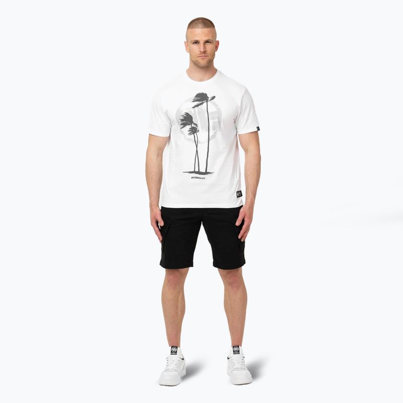 Tricou pentru bărbați Pitbull Palms white 2