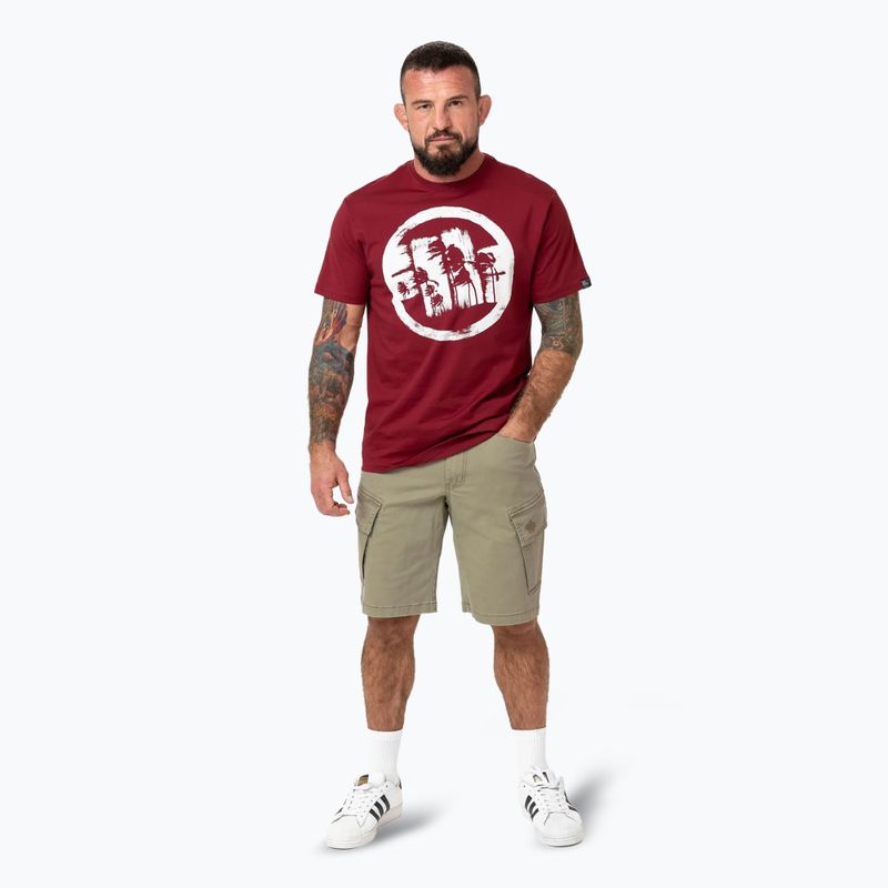 Tricou pentru bărbați Pitbull Logo Palms burgundy 2