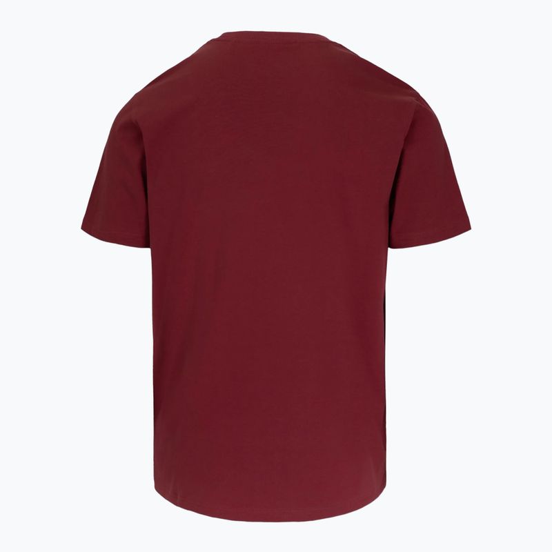 Tricou pentru bărbați Pitbull Logo Palms burgundy 5