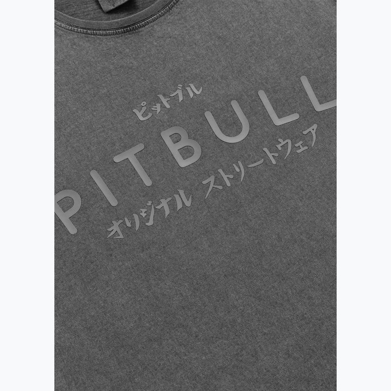 Tricou pentru bărbați Pitbull Mt. Fuji washed grey 4
