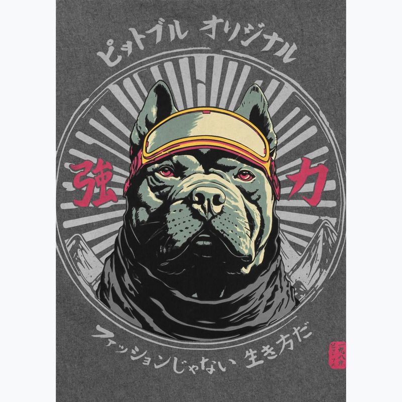 Tricou pentru bărbați Pitbull Mt. Fuji washed grey 5