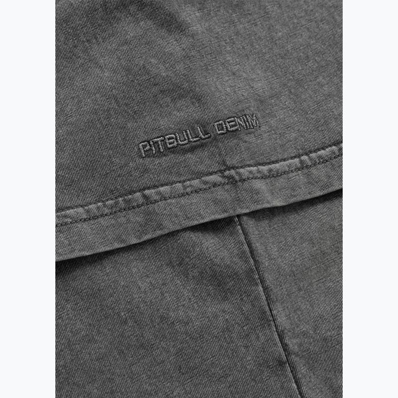 Tricou pentru bărbați Pitbull Mt. Fuji washed grey 7