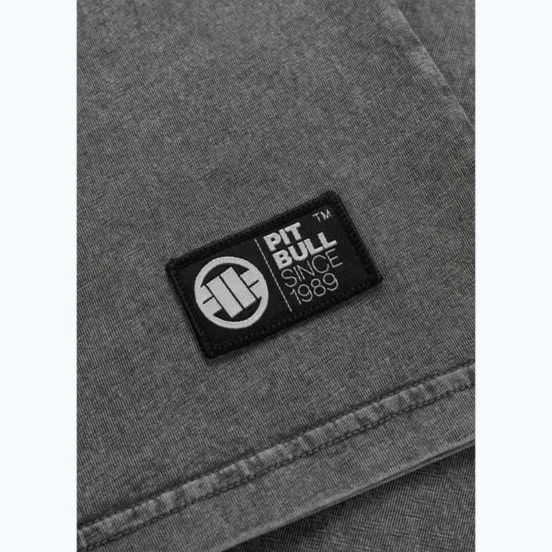 Tricou pentru bărbați Pitbull Mt. Fuji washed grey 8