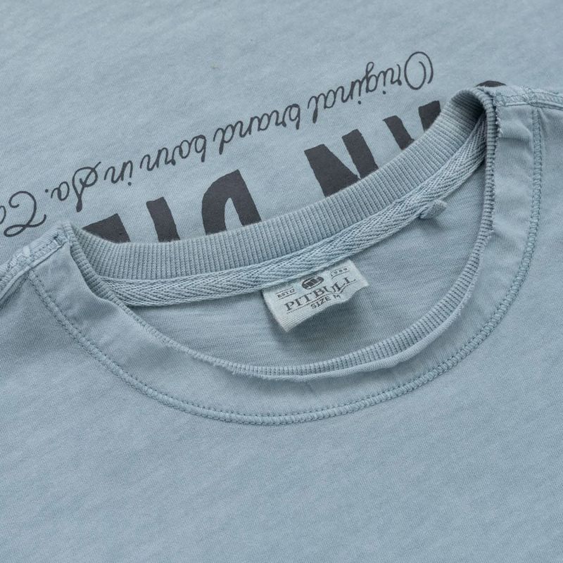 Tricou pentru bărbați Pitbull Pacyfic blue 3