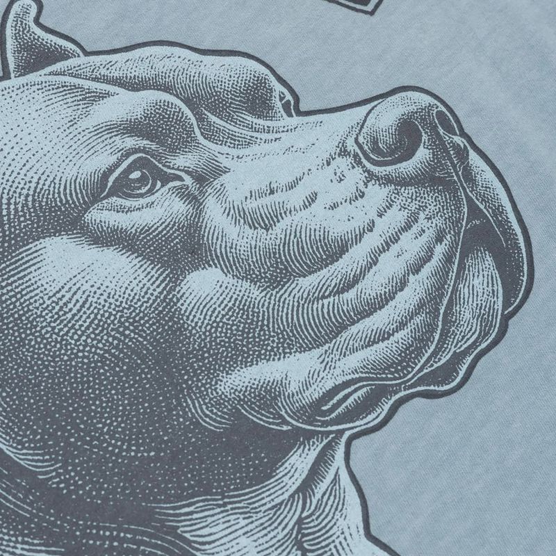 Tricou pentru bărbați Pitbull Pacyfic blue 6