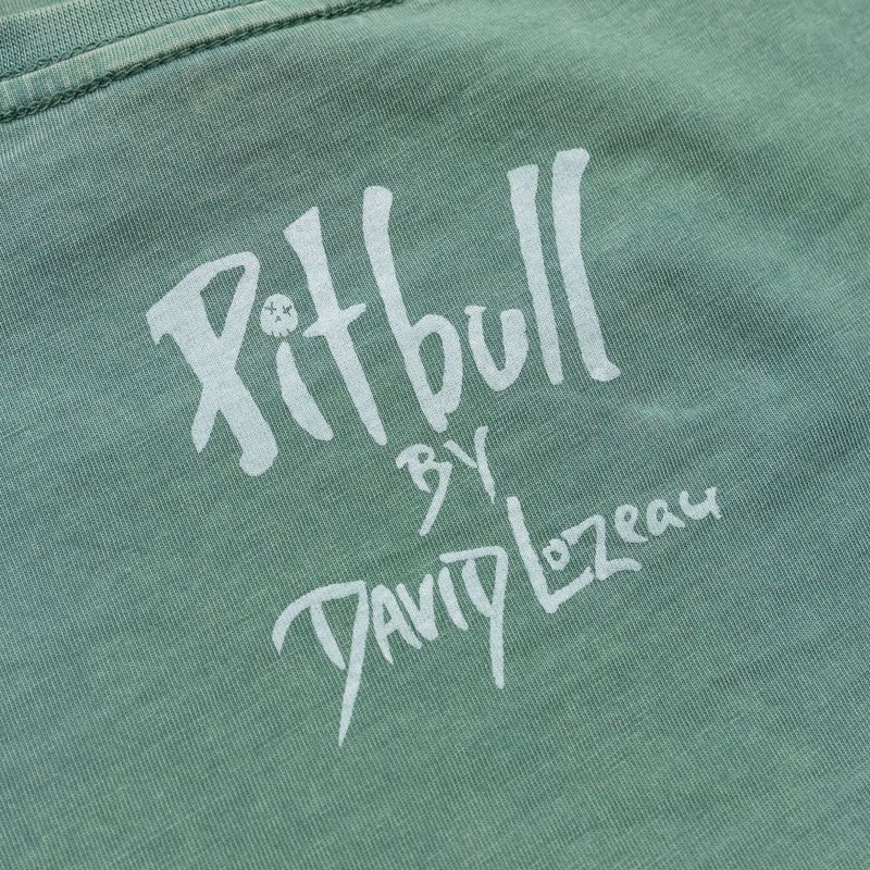 Tricou pentru femei Pitbull Cruisinandboozin mint 7