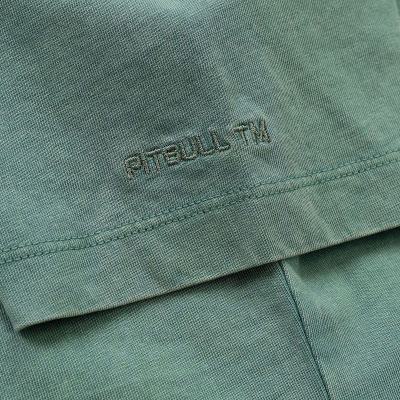 Tricou pentru femei Pitbull Cruisinandboozin mint 8