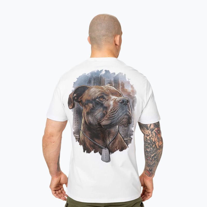 Tricou pentru bărbați Pitbull Hero white 3