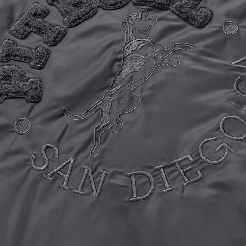 Geacă pentru bărbați Pitbull Hacket Washed Bomber graphite 5