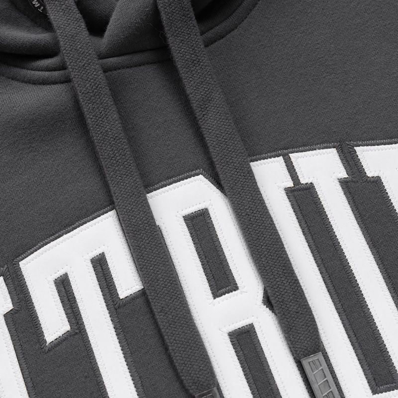 Bluză pentru bărbați Pitbull Norton Hooded graphite 6
