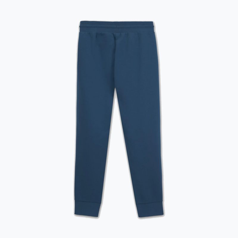 Pantaloni pentru bărbați Pitbull Sampson Track Pants petrol blue 5