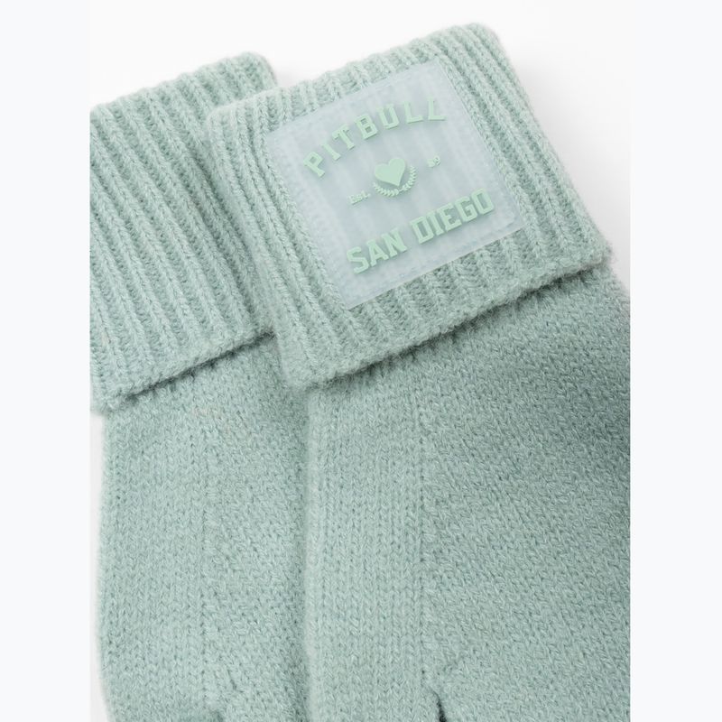 Mănuși Pitbull Love PB light mint 2