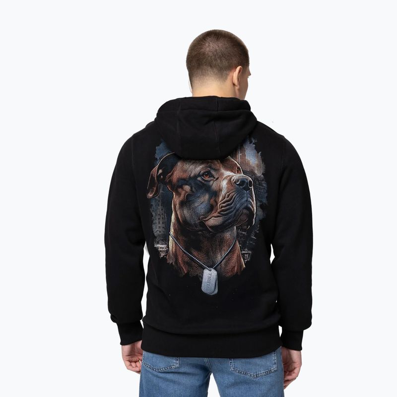 Bluză pentru bărbați Pitbull Hero Hooded black 2