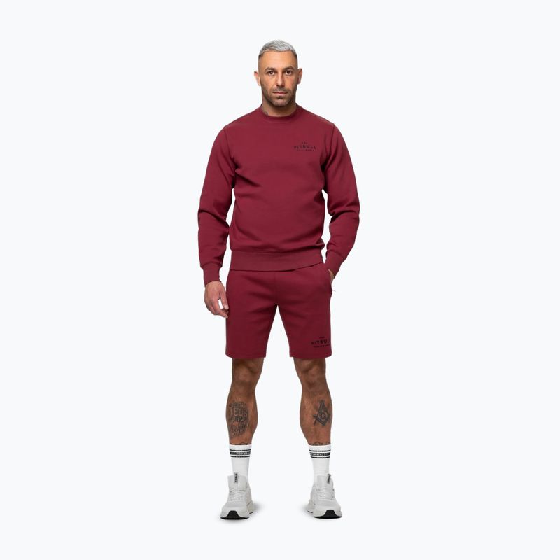 Bluză pentru bărbați Pitbull Sampson Crewneck Sweatshirt burgundy 2