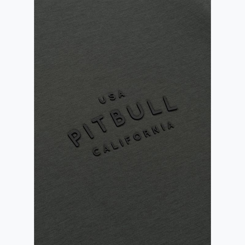 Bluză pentru bărbați Pitbull Sampson Hooded Sweatshirt grey/green 10