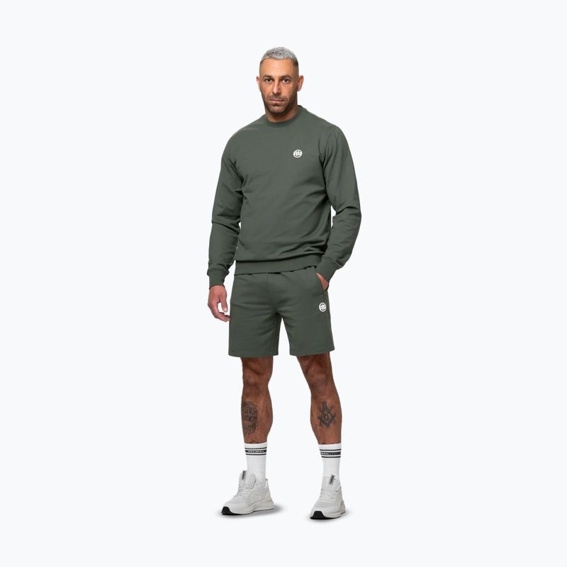Pantaloni scurți pentru bărbați Pitbull Nugget Small Logo sage green 2