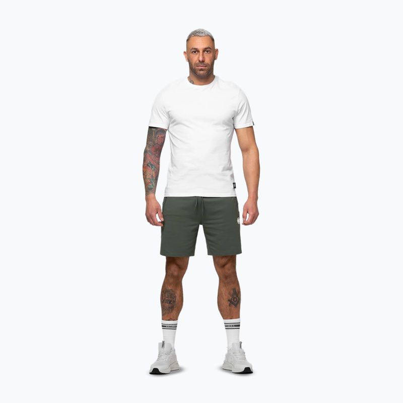 Pantaloni scurți pentru bărbați Pitbull Nugget Small Logo sage green 4