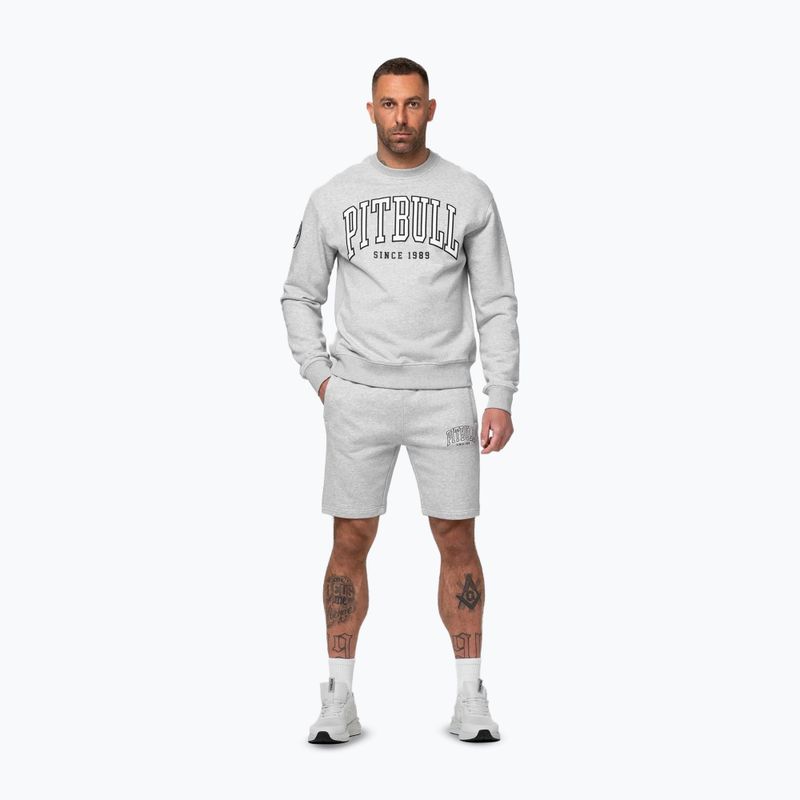 Bluză pentru bărbați Pitbull Badger Crewneck grey/melange 2