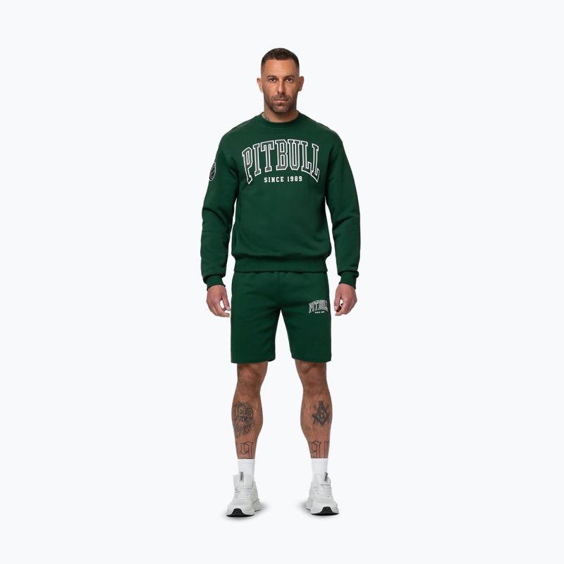 Bluză pentru bărbați Pitbull Badger Crewneck hunter/green 2