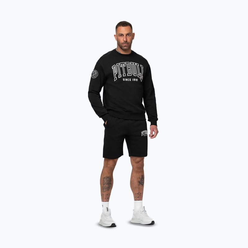 Bluză pentru bărbați Pitbull Badger Crewneck black 2