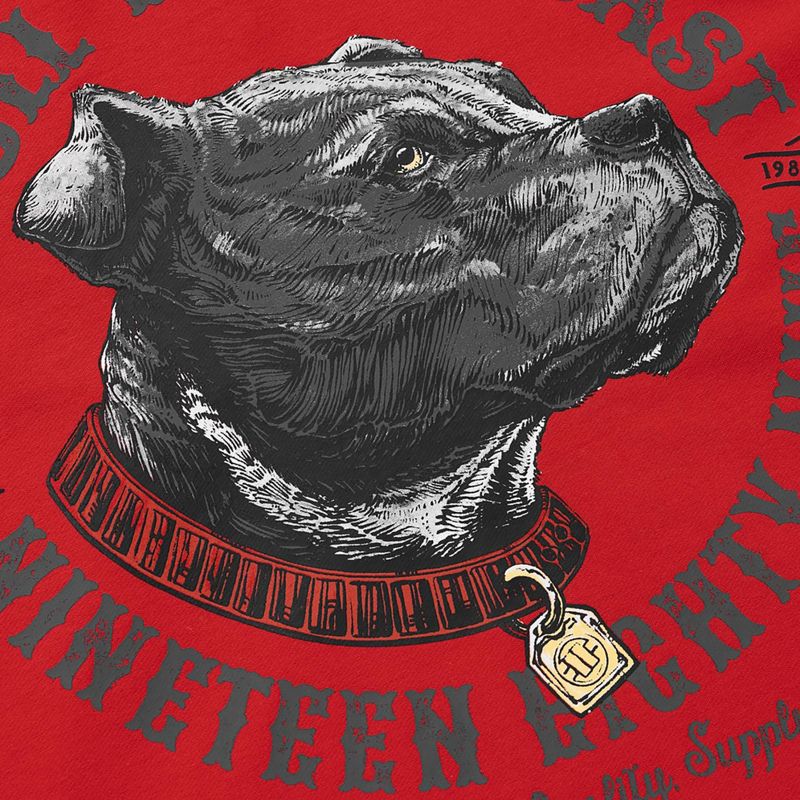 Bluză pentru bărbați Pitbull Strenght & Respect Sweatshirt Hooded red 9