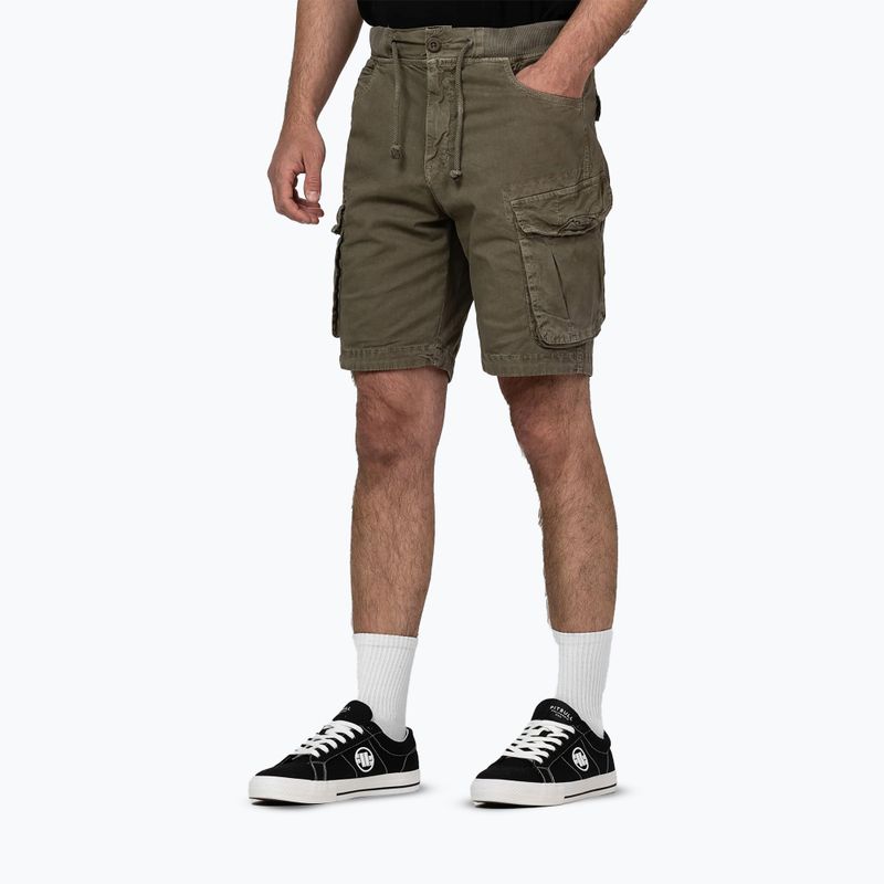 Shorturi bărbătești Pitbull Proctor Drawstring Cargo olive 3