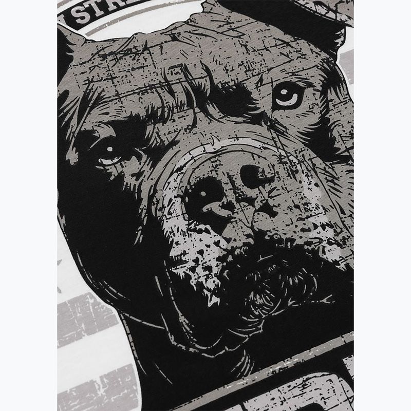 Tricou pentru bărbați Pitbull Troublemarker white 10