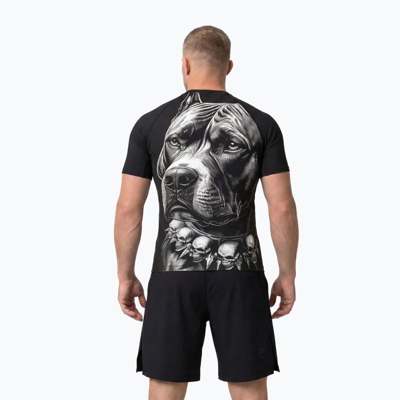 Rashguard pentru bărbați Pitbull Blacky Rashguard black 3
