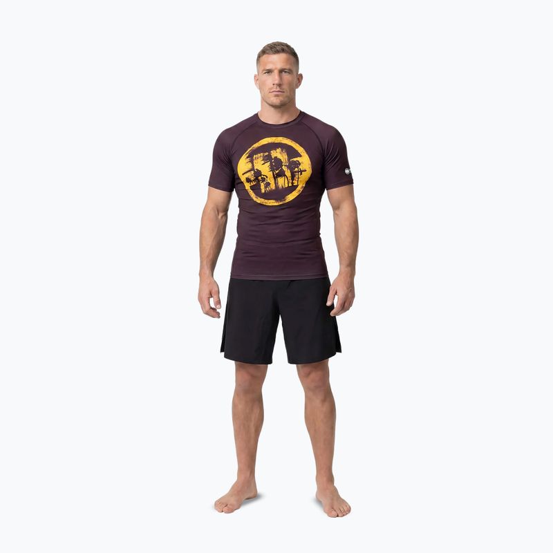 Tricou pentru bărbați Pitbull Rashguard Logo Palms brown 2