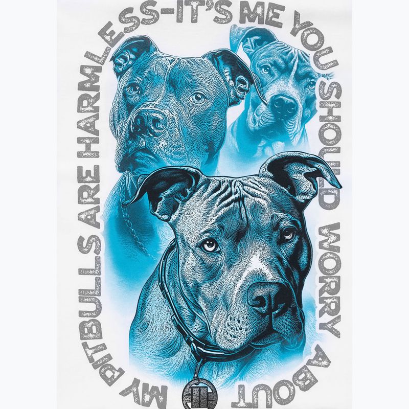 Tricou pentru bărbați Pitbull Protector white 11