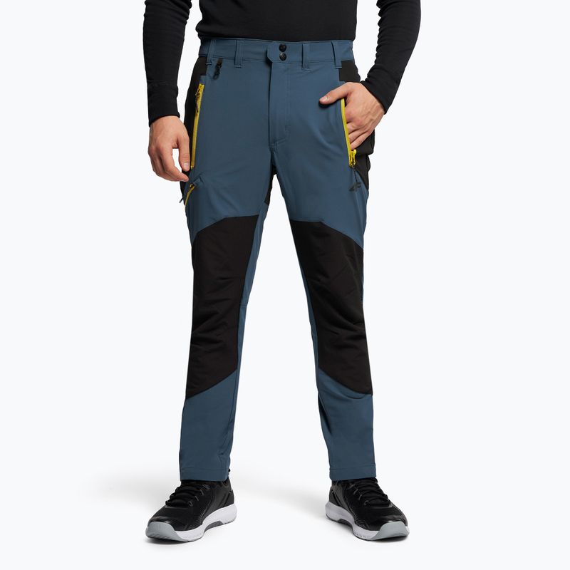 Pantaloni de trekking pentru bărbați 4F albaștri H4Z22-SPMTR060 8