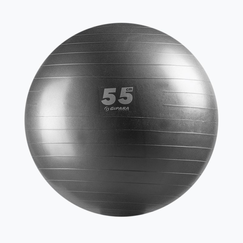 Gipara minge de fitness gri 3141