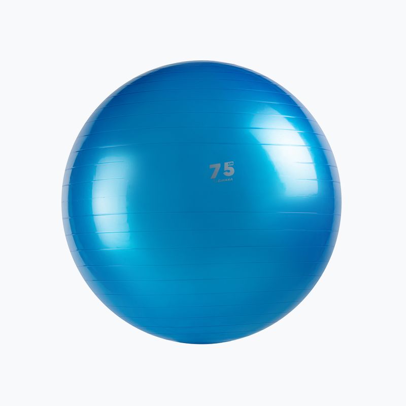 Minge de gimnastică Gipara albastru 4900