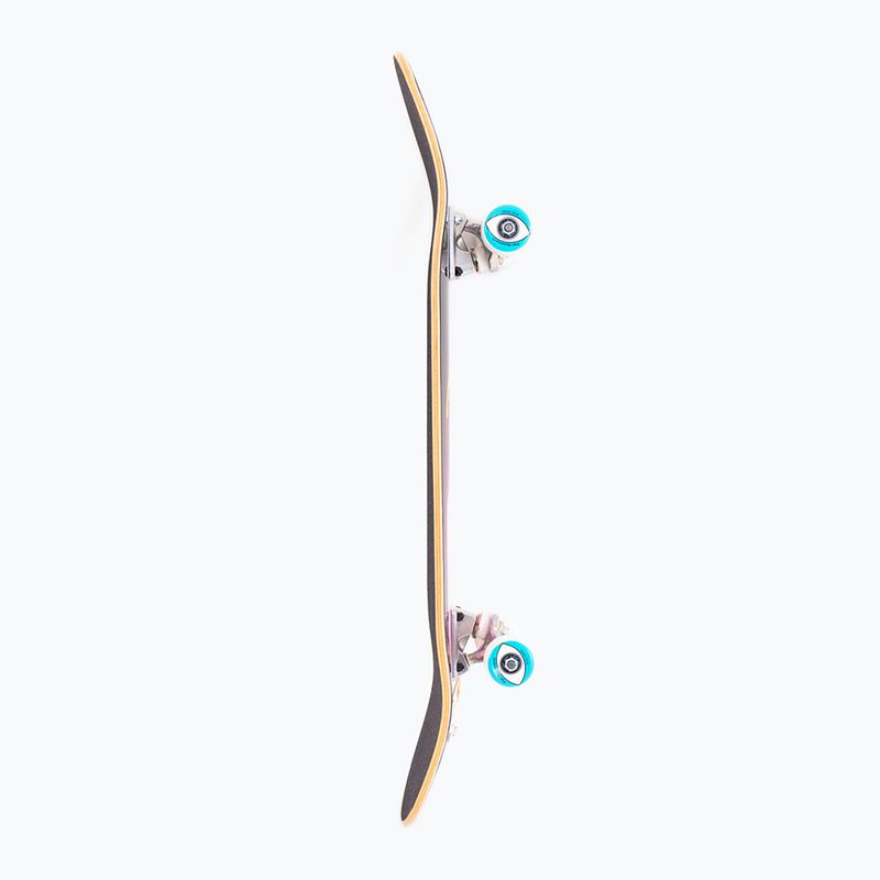 Skateboard clasic Fish Skateboards Pro Kris 8.125" 4