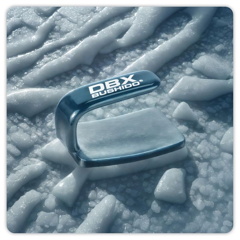 Fier de box DBX BUSHIDO Ferro black/silver 7