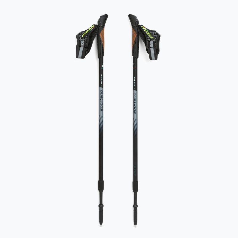 Bețe nordic walking Fizan Smu Active black 5
