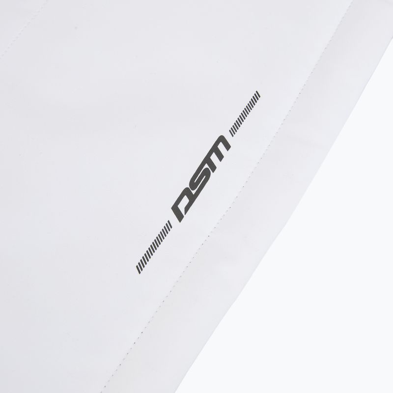 Set de schi pentru bărbați DISUMER Pinnacle II Set white/black 10