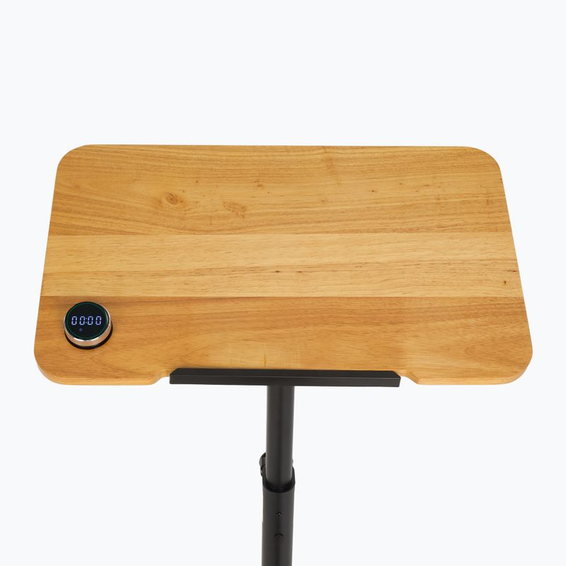 Bicicletă electrică XTREXO EB400-desk black 5