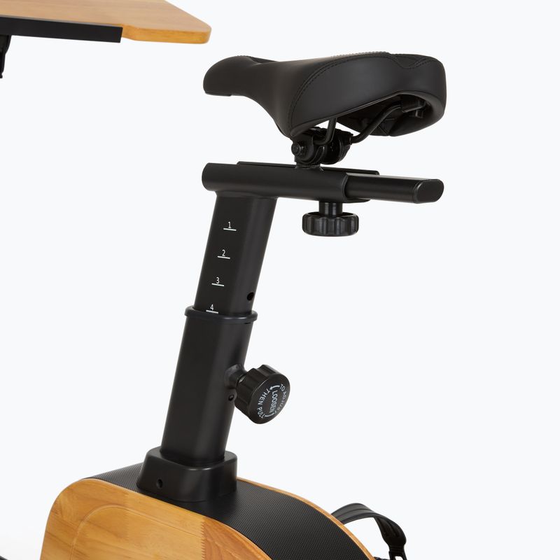 Bicicletă electrică XTREXO EB400-desk black 6
