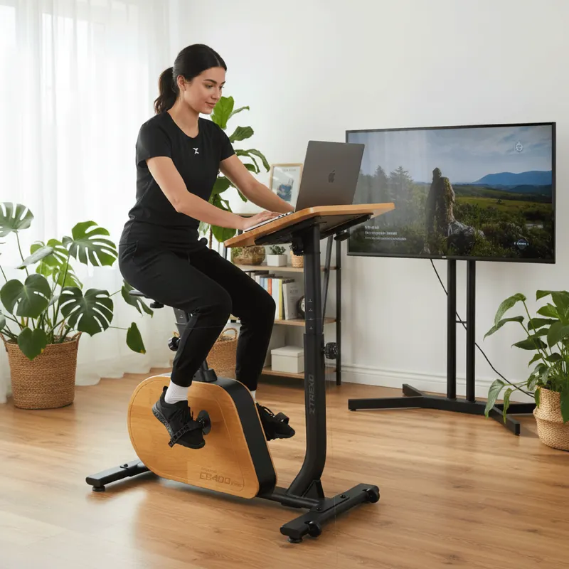 Bicicletă electrică XTREXO EB400-desk black 11