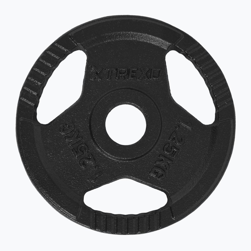 Greutate din fontă XTREXO TRX-ICP001 1,25 kg crom 3