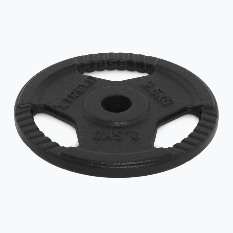 Greutate din fontă XTREXO TRX-ICP002 2,5 kg crom