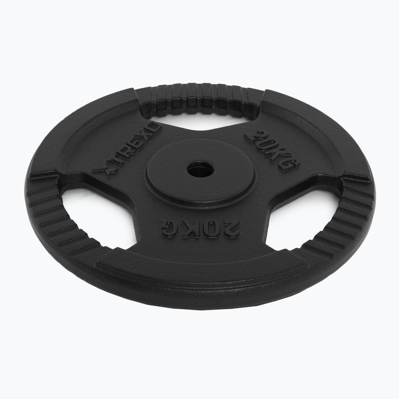 Greutate din fontă XTREXO TRX-ICP020 20 kg crom