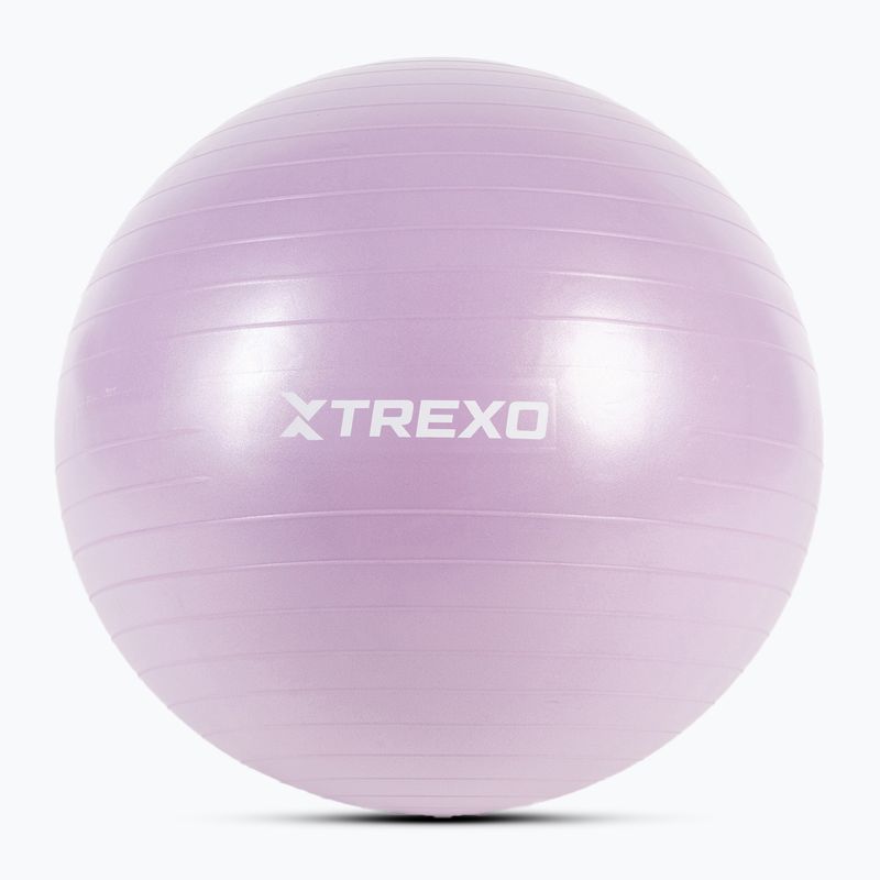 Minge de gimnastică XTREXO TXO-B4Z008-VT 65 cm violet