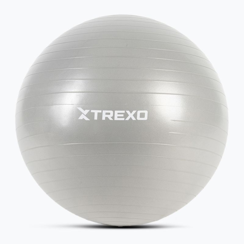 Minge de gimnastică XTREXO TXO-B4Z008-GY 65 cm gri