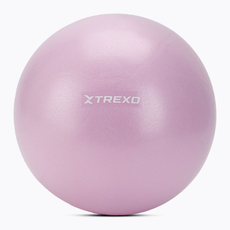 Mini minge de gimnastică XTREXO TXO-B4Z011-VT 25 cm violet