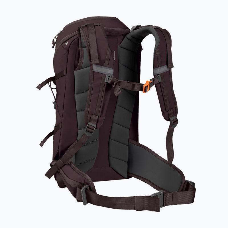 Rucsac de turism Alpinus Teno 24 l gray 2