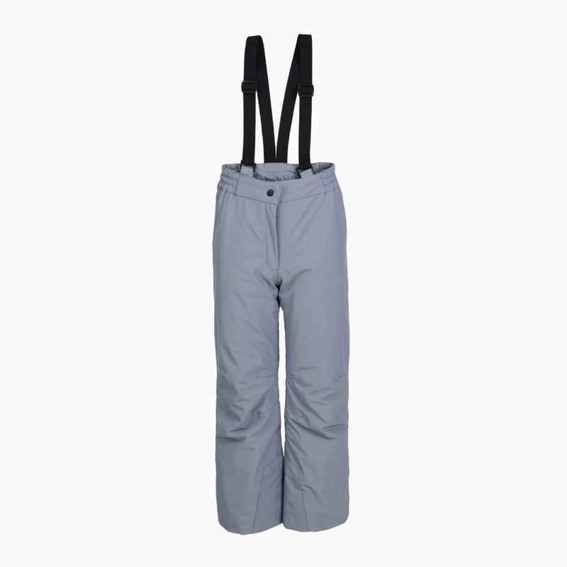 Pantaloni de schi pentru copii 4F Fnk F0948 grey 3
