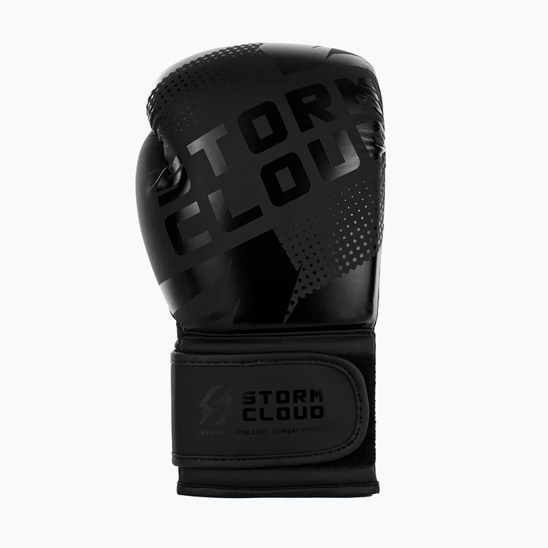 Mănuși de box StormCloud Bolt 3.0 black/black 4